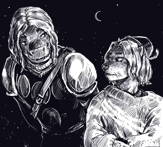 A drawing of two fantasy characters at night, there's a gentle atmosphere