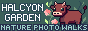 Halcyon Garden Nature Walks