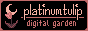 Platinum Tulip